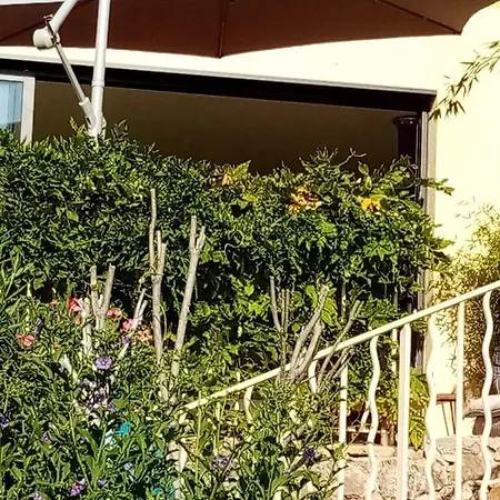 别墅 Villa Du Baou